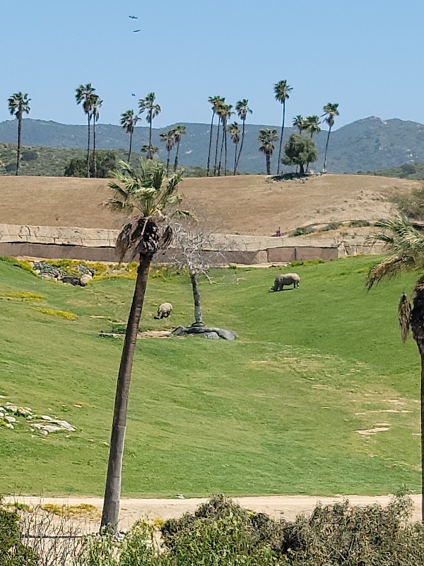 San Diego Zoo Safari Park 3