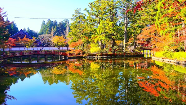 Kongobu-ji Danjo Garan (Elevated Precinct) 3