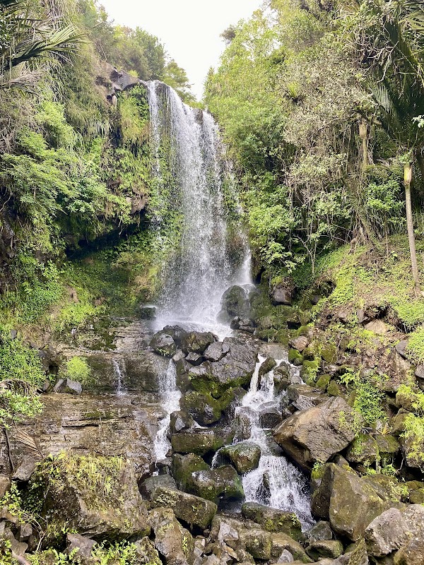 Harker Reserve (Vivian Falls) 1