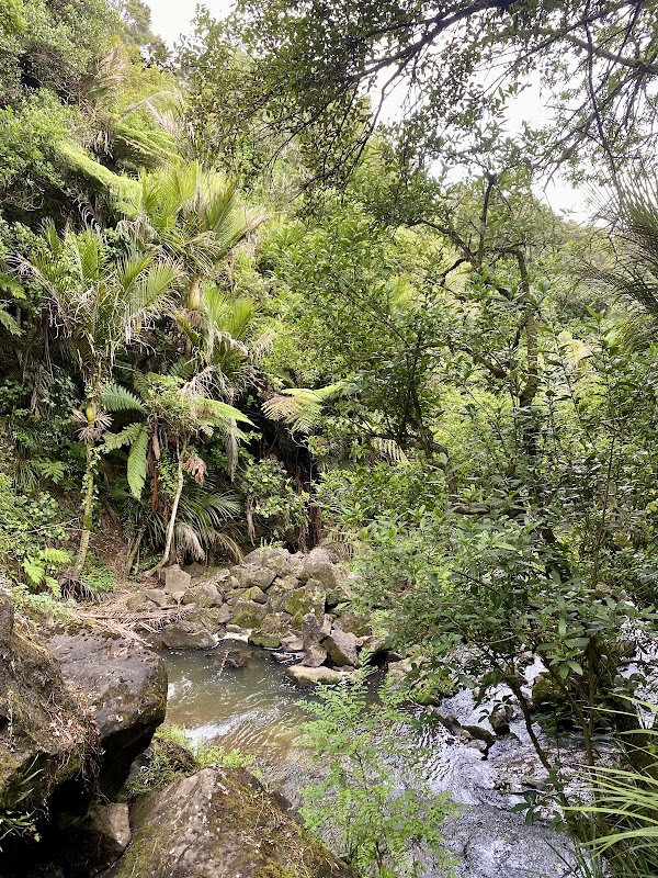 Harker Reserve (Vivian Falls) 5