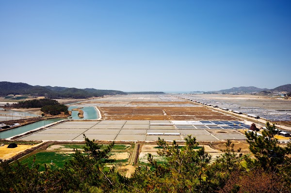 Taepyeong Salt Farm 5