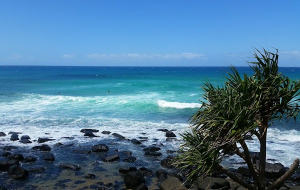 Burleigh Head National Park 5