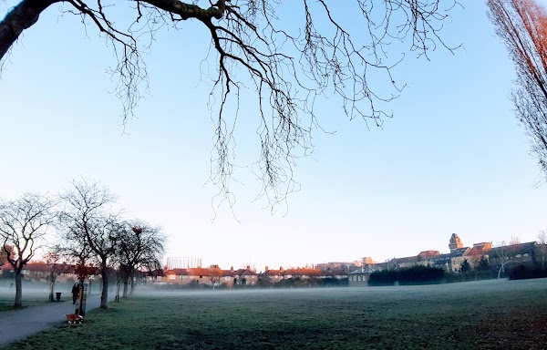 Kensington Memorial Park 4