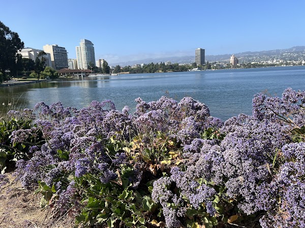 Lake Merritt 3