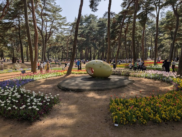 Eggs Forest Flower Garden 3