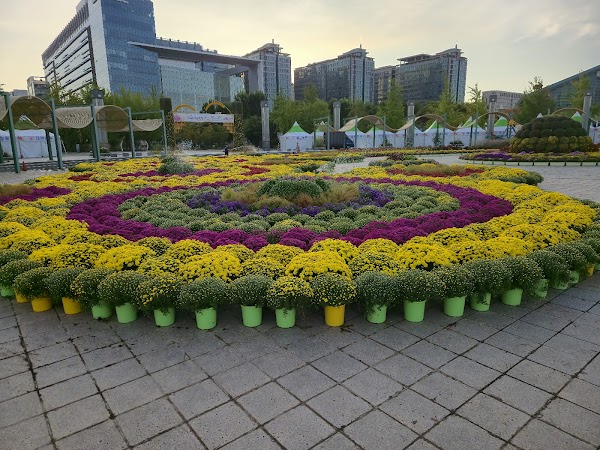 Ilsan Lake Park 5
