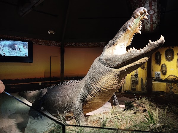 St. Augustine Alligator Farm Zoological Park 2