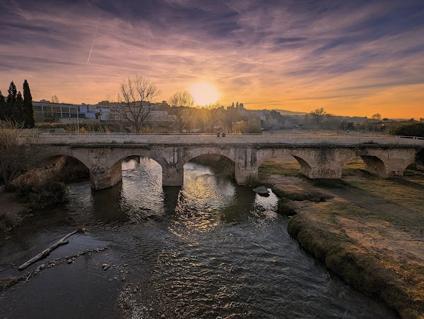 Jardí del Túria - Tram VIII 2