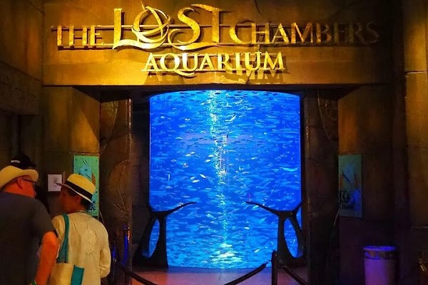 The Lost Chambers Aquarium at Aquaventure World 5