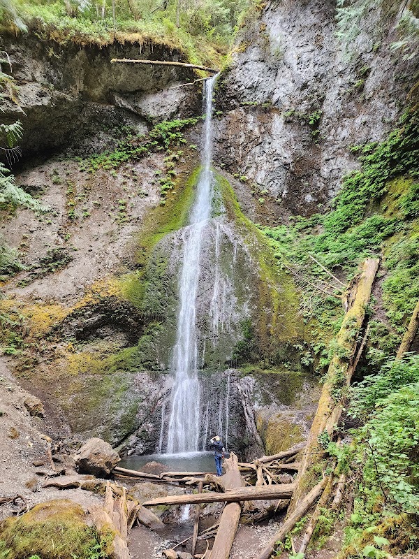 Olympic National Park 2