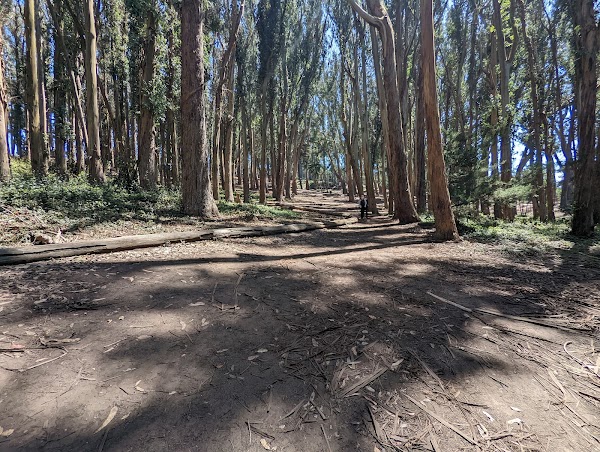 Lover's Lane