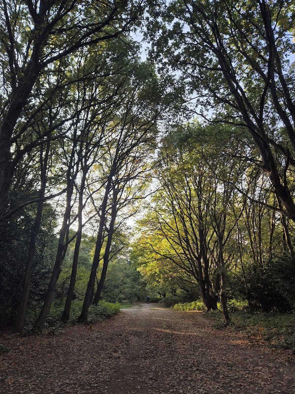 Wimbledon and Putney Commons 3