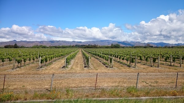 Te Waipounamu / South Island 1