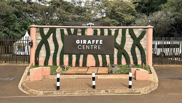 Giraffe Centre 6