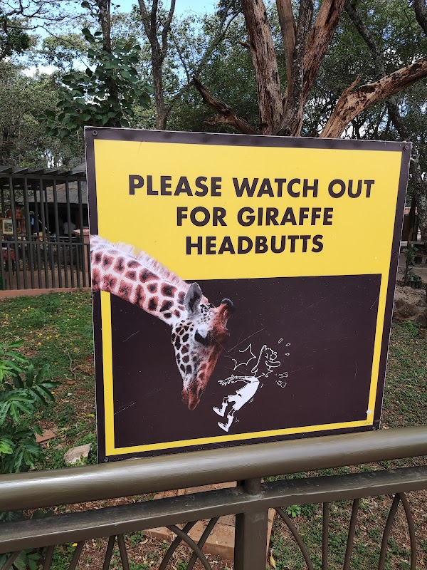 Giraffe Centre 3