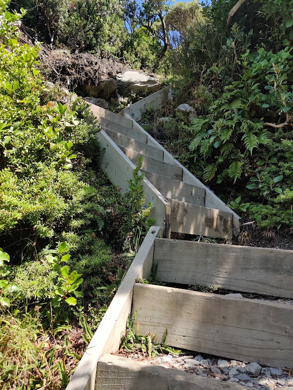 Sealy Tarns Viewpoint 2