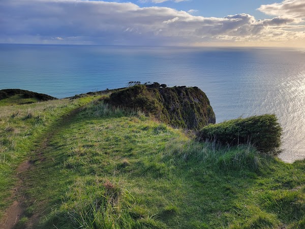 Te Toto Gorge Lookout 4