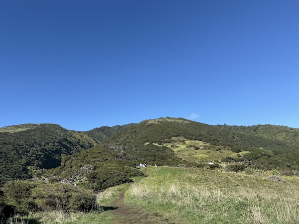 Te Toto Gorge Lookout 3