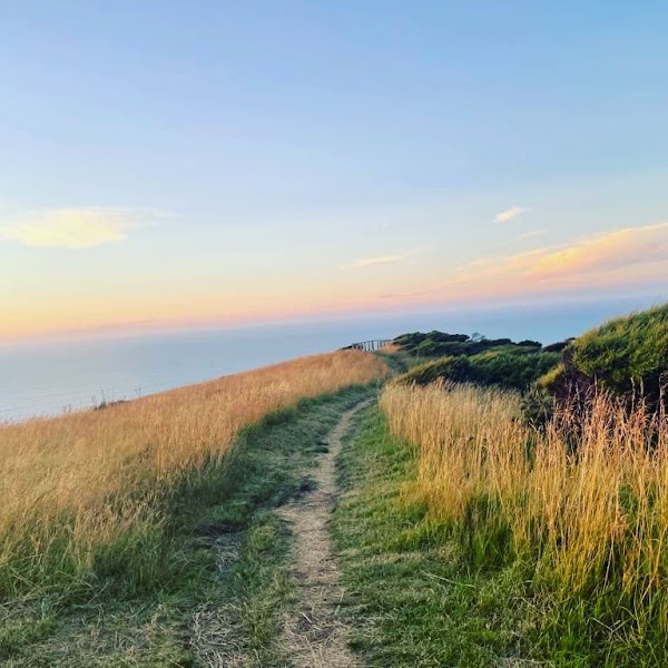 Te Toto Gorge Lookout 2