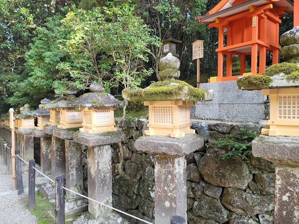 Kasuga Taisha 3