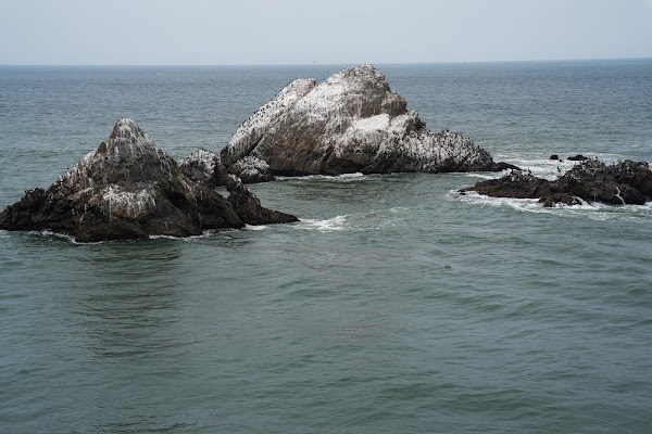 Camera Obscura & Holograph Gallery 3