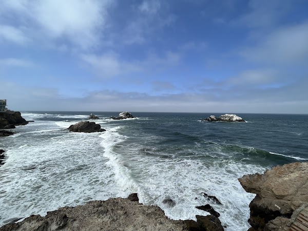 Camera Obscura & Holograph Gallery 2