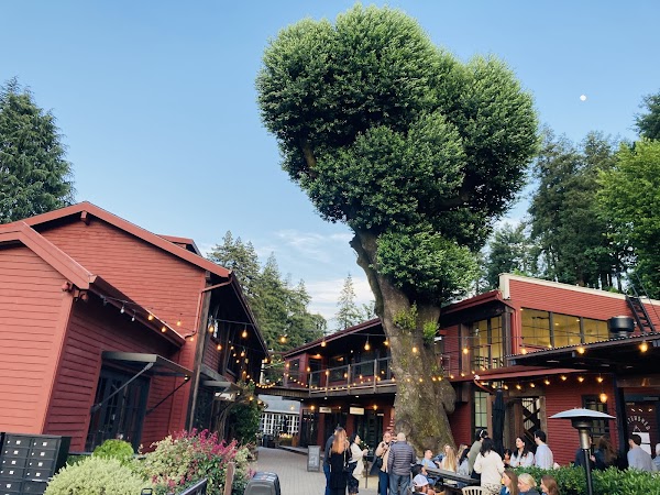 Mill Valley Lumber Yard 5