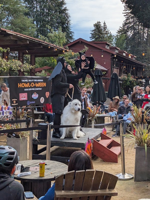 Mill Valley Lumber Yard 2