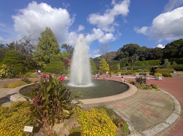 Kyoto Botanical Gardens 3