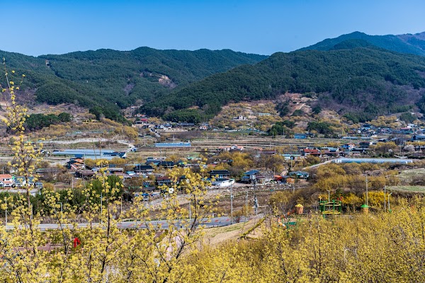 구례 산수유마을