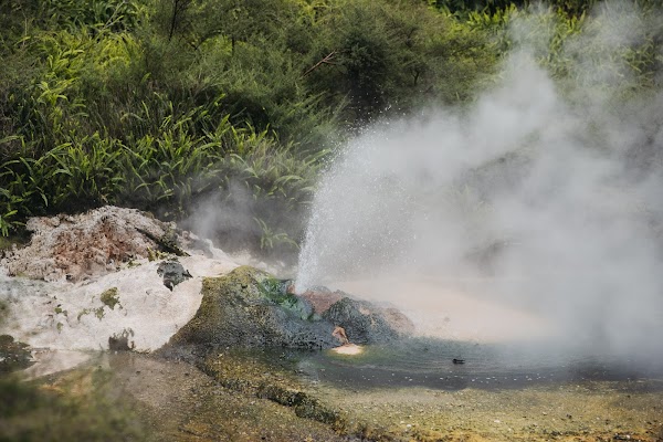 Waimangu Volcanic Valley 3