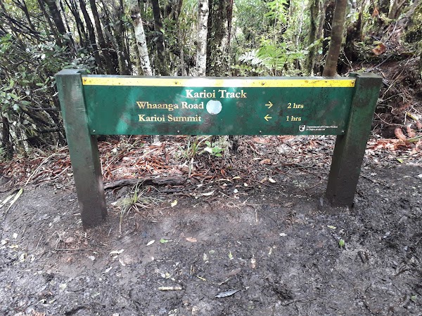 Karioi Summit Track 1