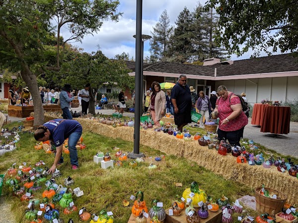 Palo Alto Art Center 3