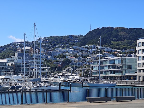 Wellington Harbour 5