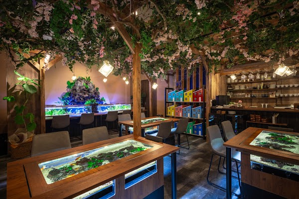 ポワソンドール 4