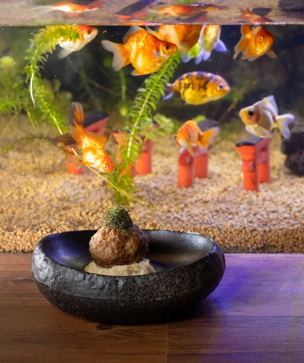 ポワソンドール 3