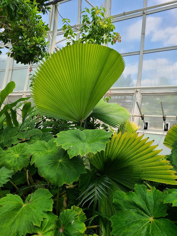 Crystal Bridge Tropical Conservatory 3