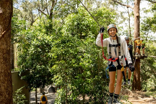 TreeTop Challenge Gold Coast Currumbin