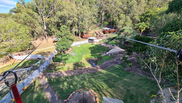 TreeTop Challenge Gold Coast Currumbin 2
