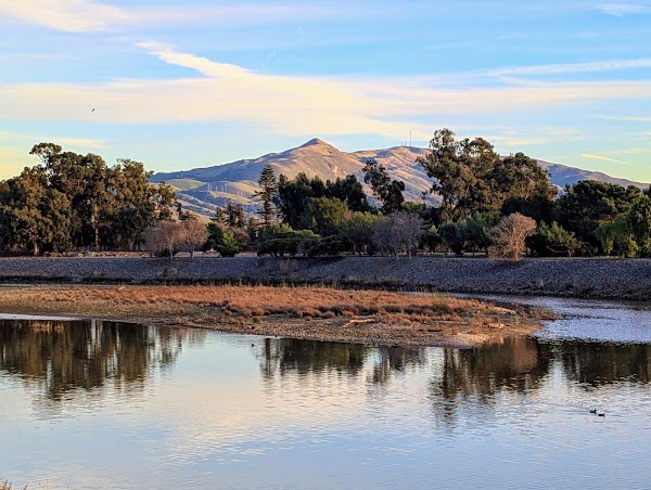 Niles Community Park 6