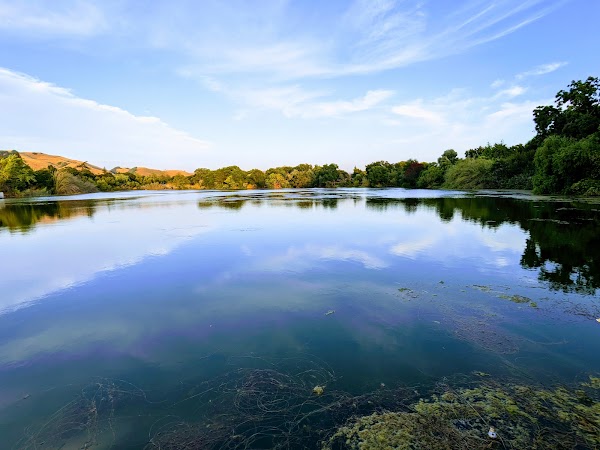 Niles Community Park 5