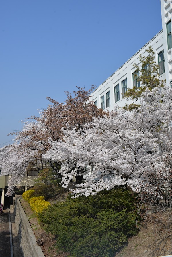 Jeongdok Public Library
