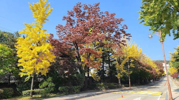 Seonggyungwan and Munmyo (Temple of Confucius) 2