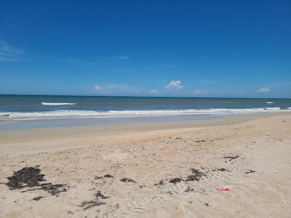 Canaveral National Seashore 4