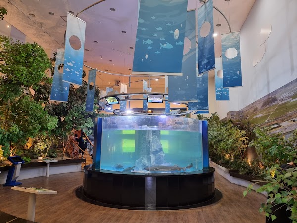 Seomjingang River Fish Museum