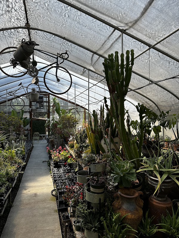 Galveston Gardens BEND