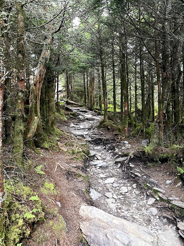 Cliff Top Viewpoint Access Trail