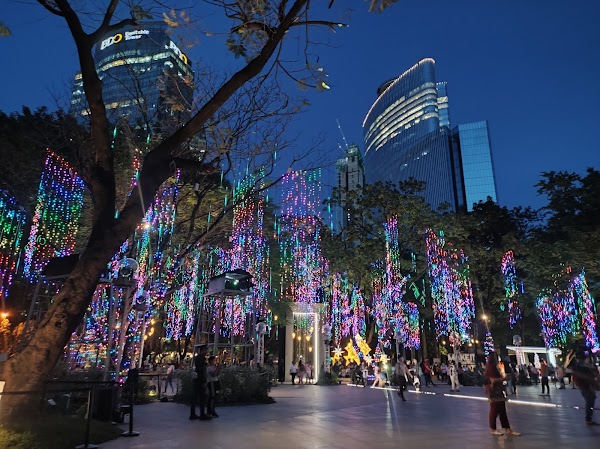 Ayala Triangle Gardens 3