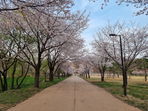 Nanji Hangang Park 6