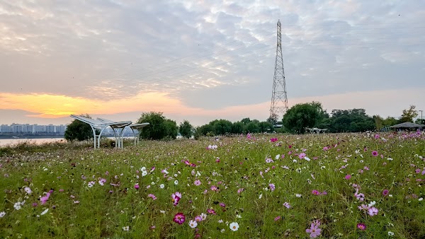 Nanji Hangang Park 5